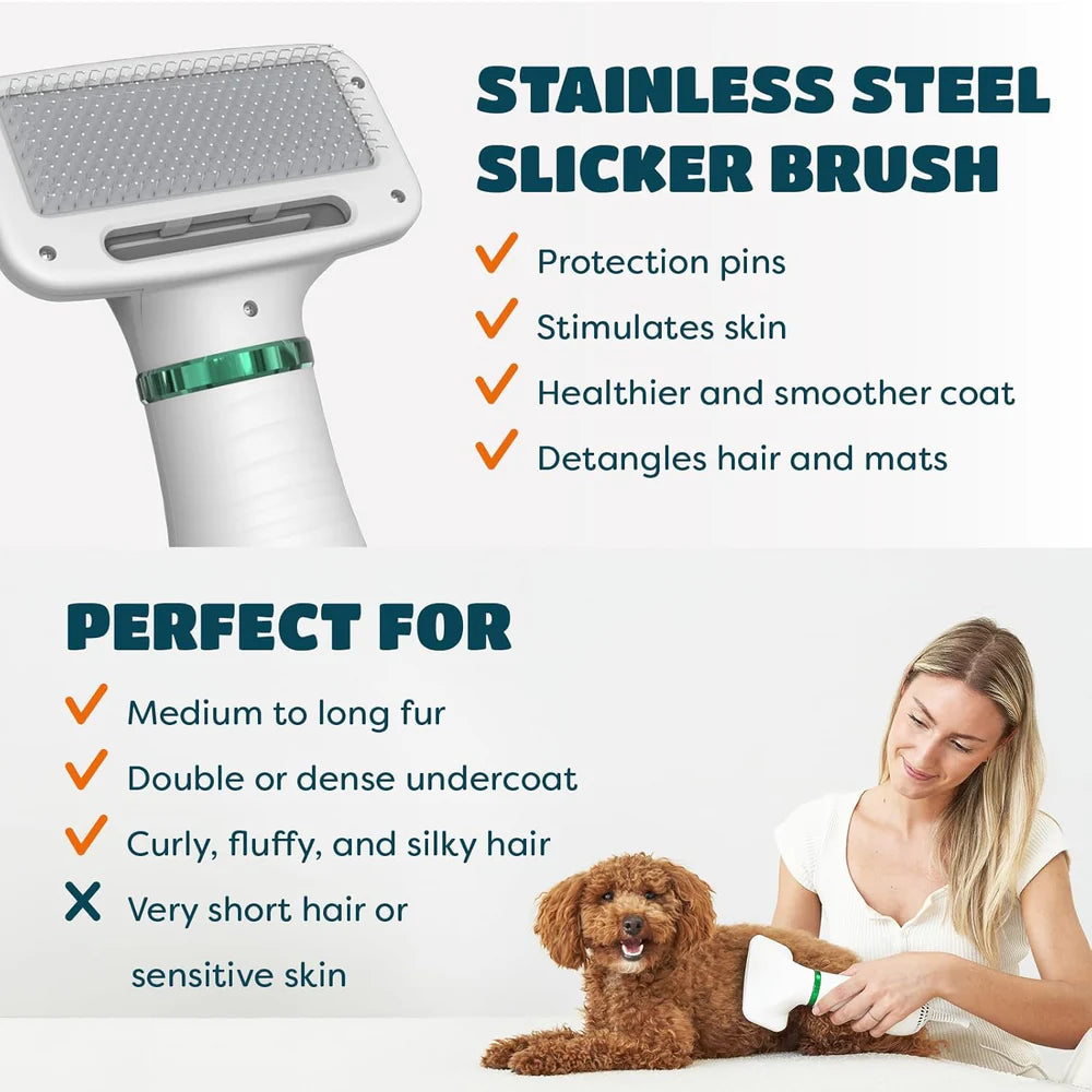 Pet Grooming Dryer Brush (2-In-1)